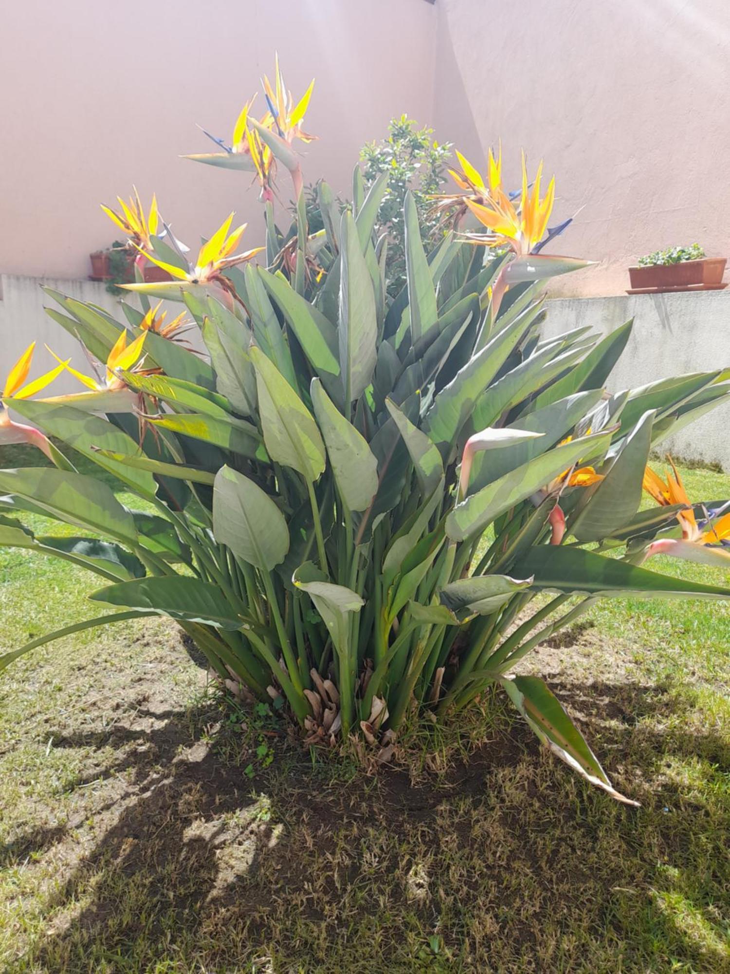 A Casa Da Avo Ana Villa Arneiro das Milharicas Eksteriør billede