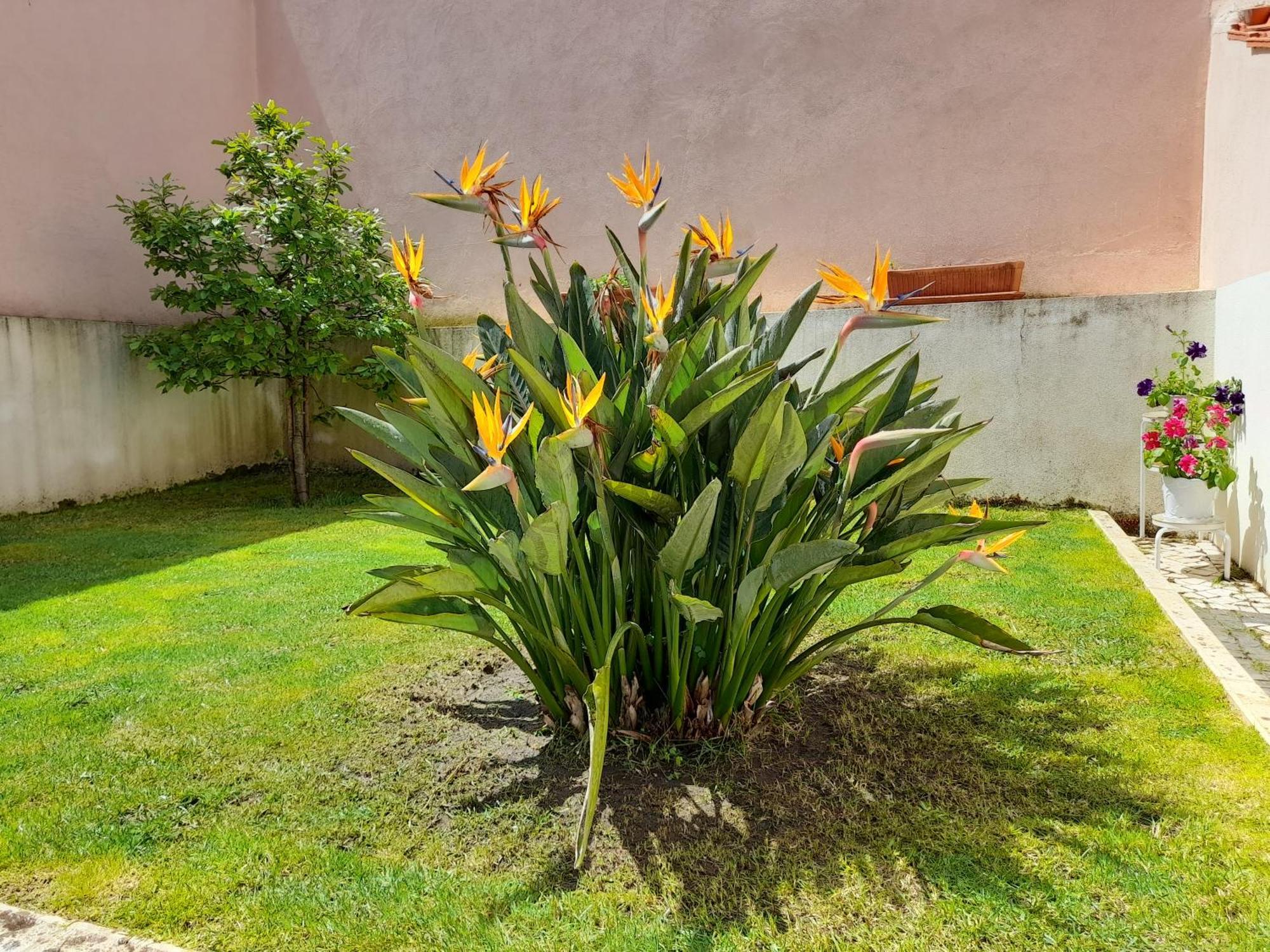 A Casa Da Avo Ana Villa Arneiro das Milharicas Eksteriør billede